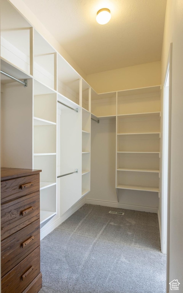935 S 950 E, Ephraim, UT 84627 - walk in closet with carpet