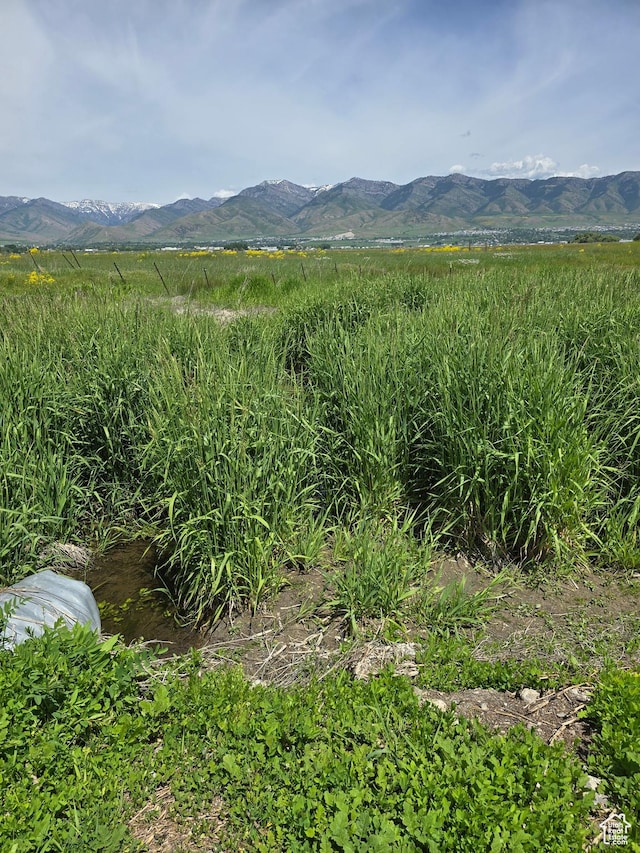 1777 W 4200 N, Smithfield, UT 84335 - mountain view