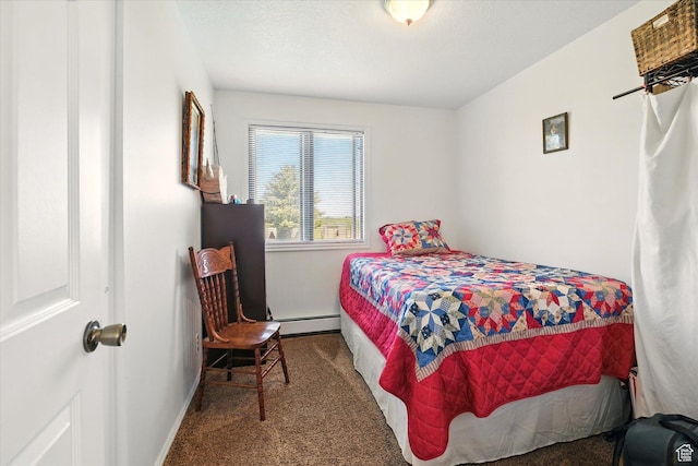 1777 W 4200 N, Smithfield, UT 84335 - carpeted bedroom with a baseboard radiator and baseboards