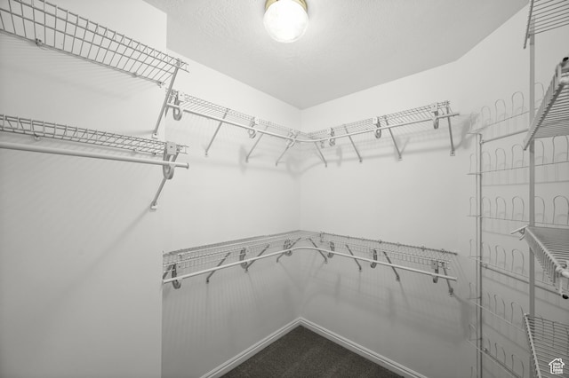 12563 S Bear Castle Cv, Draper, UT 84020 - view of spacious closet