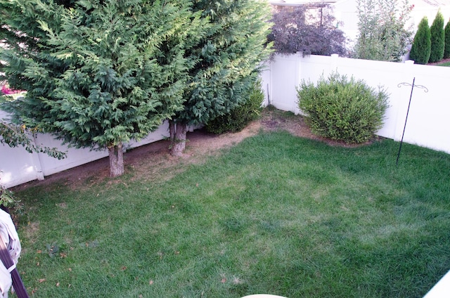 6705 S High Bluff Dr W, West Jordan, UT 84081 - view of yard