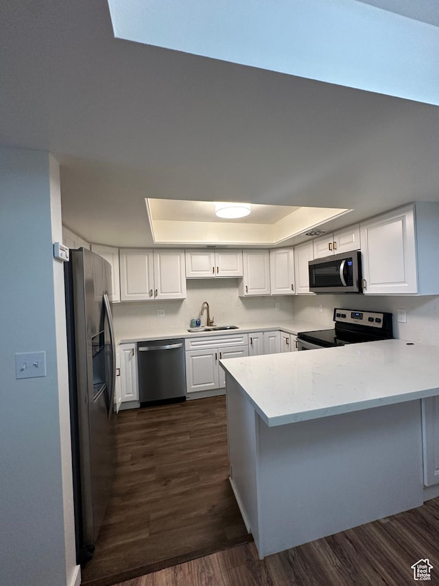 4853 S Woodbridge Dr E Unit 44, Salt Lake City, UT 84117 - kitchen with stainless steel appliances, a sink, a peninsula, a raised ceiling, and white cabinets