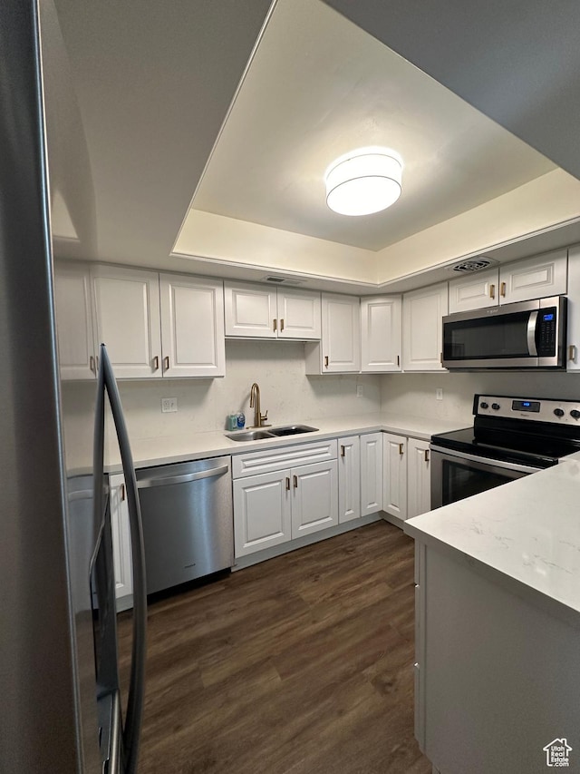 4853 S Woodbridge Dr E Unit 44, Salt Lake City, UT 84117 - kitchen featuring appliances with stainless steel finishes, a sink, a tray ceiling, dark wood-style floors, and white cabinets