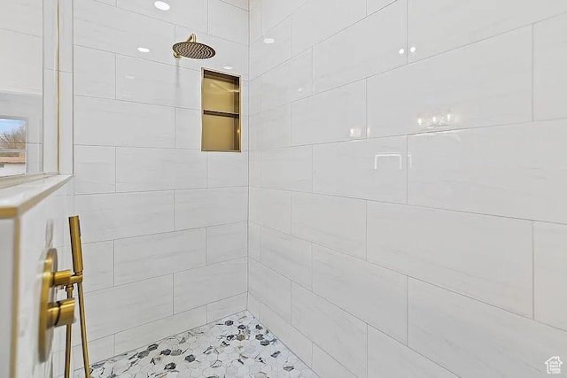 281 N 460 E, Elsinore, UT 84724 - bathroom with tiled shower