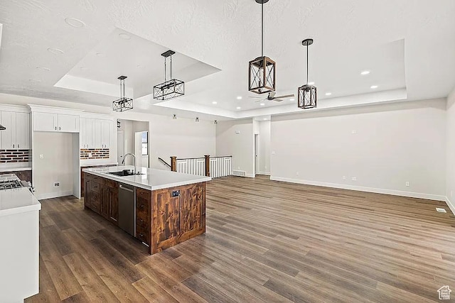 281 N 460 E, Elsinore, UT 84724 - kitchen with a tray ceiling, a sink, dishwasher, wood finished floors, and light countertops