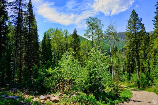 9380 E Kessler View Ln, Salt Lake City, UT 84121
