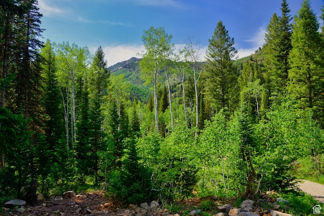 9380 E Kessler View Ln, Salt Lake City, UT 84121