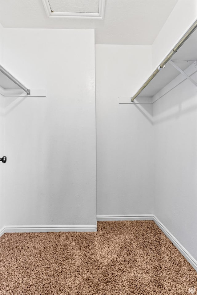 748 N 310 E, Tooele, UT 84074 - walk in closet with carpet floors and attic access