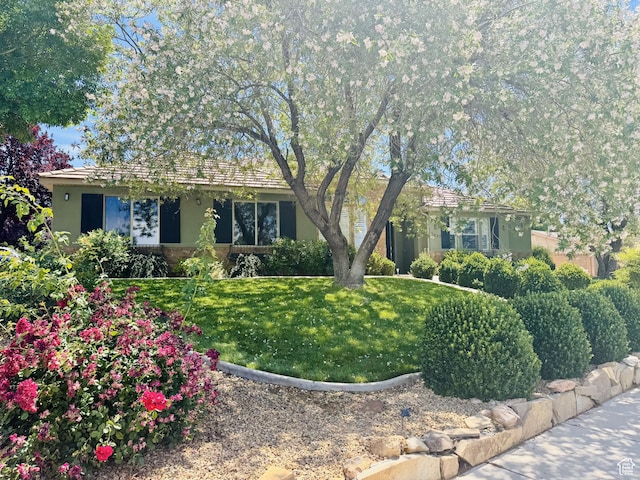 2637 S Camino Real, Washington, UT 84780 - view of front of home featuring stucco siding and a front yard