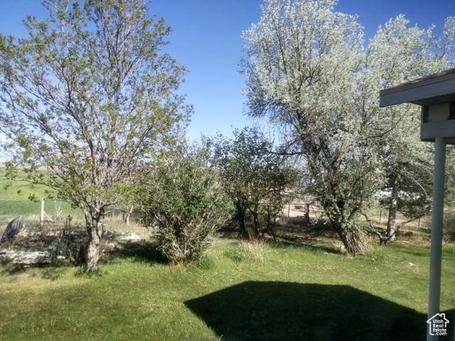 415 E 100 N, Elmo, UT 84521 - view of green lawn