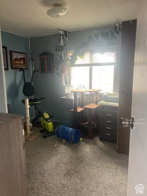 415 E 100 N, Elmo, UT 84521 - view of carpeted dining room