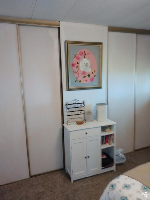 415 E 100 N, Elmo, UT 84521 - view of carpeted bedroom