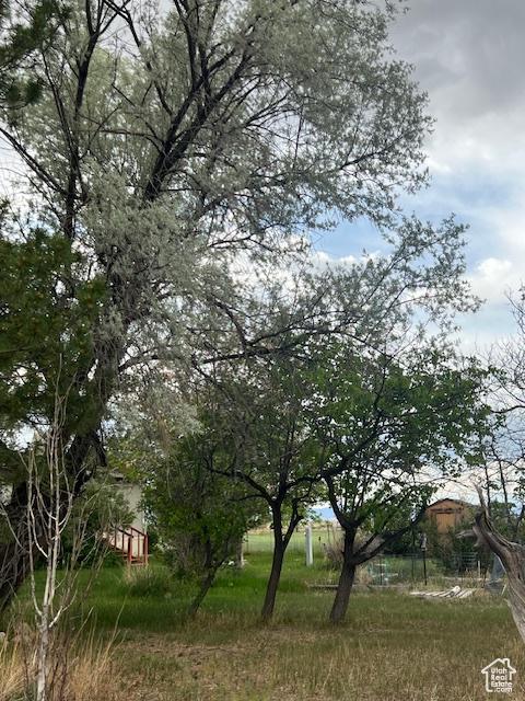 415 E 100 N, Elmo, UT 84521 - view of yard
