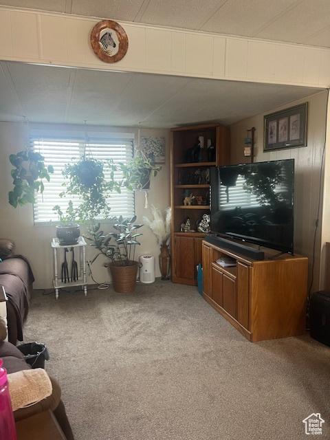 415 E 100 N, Elmo, UT 84521 - living room featuring light carpet