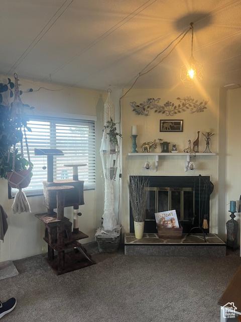 415 E 100 N, Elmo, UT 84521 - carpeted living room with a glass covered fireplace