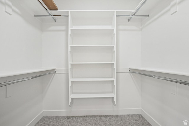 1189 E Benchview Dr, Ogden, UT 84404 - spacious closet with carpet flooring