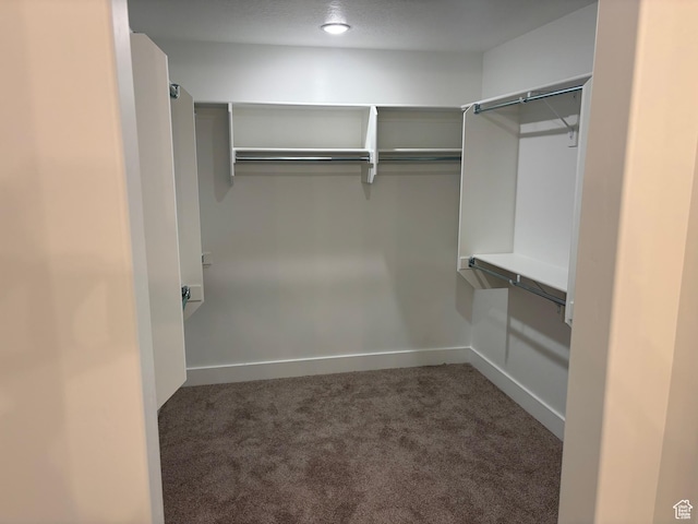 718 N 280 E, Tooele, UT 84074 - walk in closet with carpet floors
