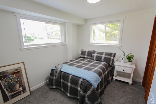 1460 E 2100 N, North Logan, UT 84341 - bedroom with multiple windows, dark carpet, and baseboards