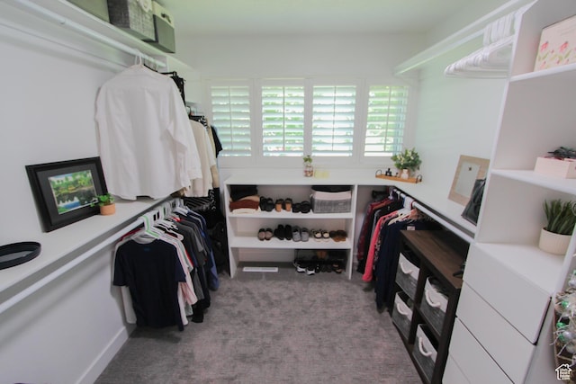 1460 E 2100 N, North Logan, UT 84341 - spacious closet with carpet floors