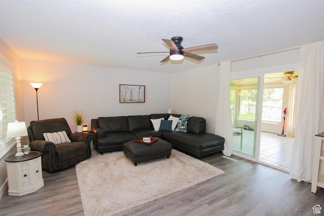 1460 E 2100 N, North Logan, UT 84341 - living room featuring ceiling fan, wood finished floors, and a textured ceiling