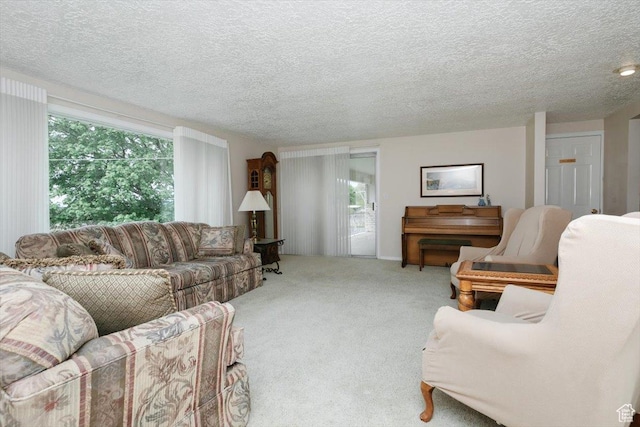 310 E Valley View Dr, Preston, ID 83263 - living area featuring carpet flooring and a textured ceiling