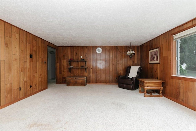 310 E Valley View Dr, Preston, ID 83263 - living area with wooden walls, a textured ceiling, carpet floors, and baseboards