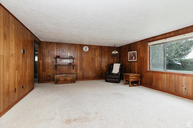 310 E Valley View Dr, Preston, ID 83263 - unfurnished room with a textured ceiling, wood walls, carpet, and baseboards
