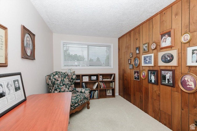 310 E Valley View Dr, Preston, ID 83263 - living area with wooden walls, carpet, and a textured ceiling
