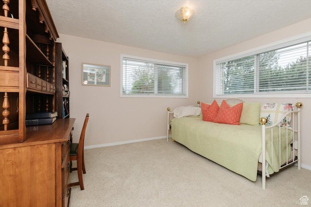 310 E Valley View Dr, Preston, ID 83263 - bedroom featuring carpet floors, a textured ceiling, and baseboards