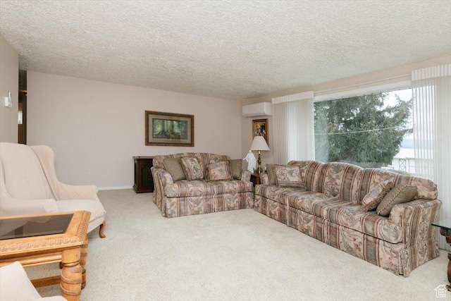 310 E Valley View Dr, Preston, ID 83263 - carpeted living area with an AC wall unit and a textured ceiling