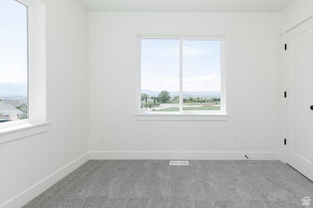 821 E 160 N, Hyde Park, UT 84318 - spare room featuring carpet, healthy amount of natural light, and baseboards