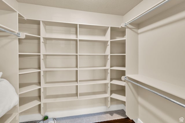 4836 S 5050 W, Hooper, UT 84315 - view of spacious closet