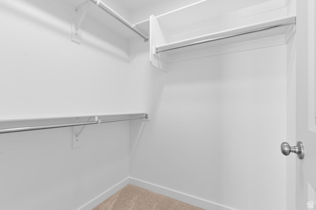 6747 N Tulle Mtn, Eagle Mountain, UT 84005 - spacious closet with carpet flooring