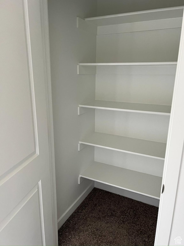 1764 E Fall St, Eagle Mountain, UT 84005 - view of closet