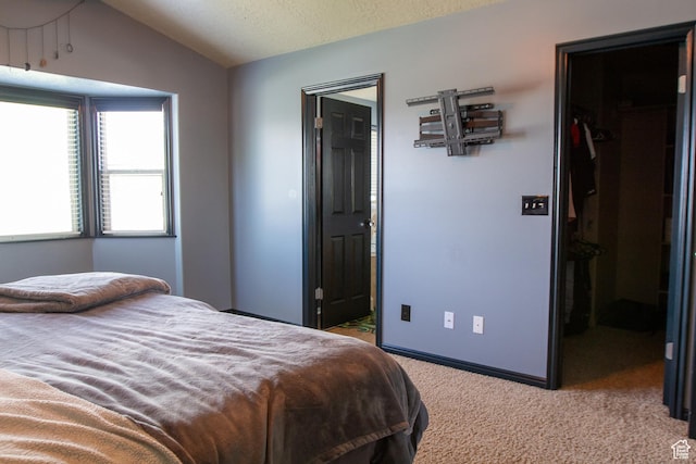 2182 W 1145 N, Clinton, UT 84015 - bedroom with a spacious closet, carpet flooring, lofted ceiling, a closet, and ensuite bathroom