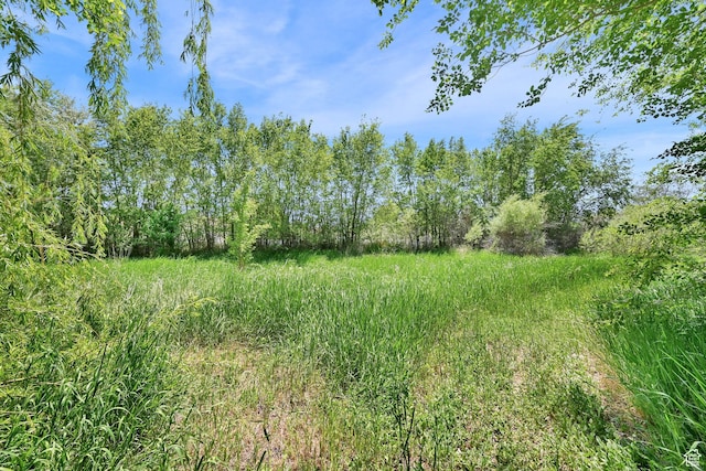 10679 S 2200 W, South Jordan, UT 84095 - view of nature