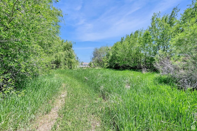 10679 S 2200 W, South Jordan, UT 84095 - view of undeveloped land