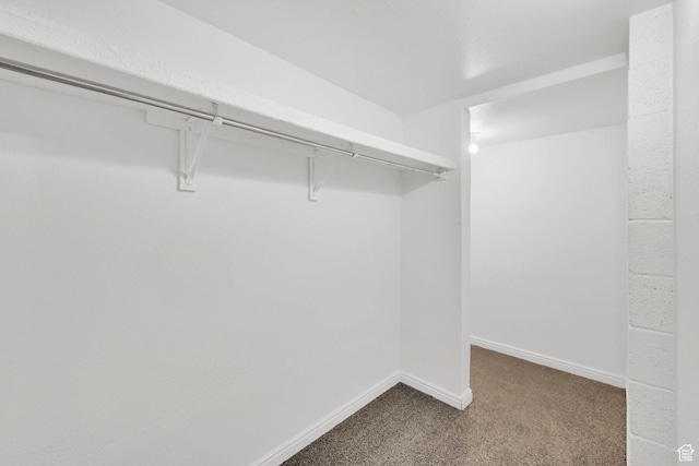 10679 S 2200 W, South Jordan, UT 84095 - walk in closet featuring carpet