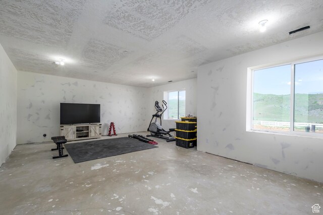19722 Elkhorn Cir, Birdseye, UT 84629 - workout room with a textured ceiling