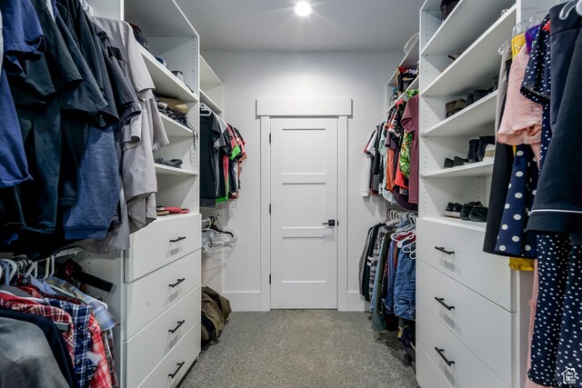 19722 Elkhorn Cir, Birdseye, UT 84629 - walk in closet with carpet floors