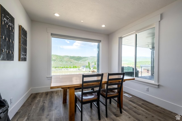 19722 Elkhorn Cir, Birdseye, UT 84629 - dining room with plenty of natural light, dark wood-type flooring, baseboards, recessed lighting, and a textured ceiling