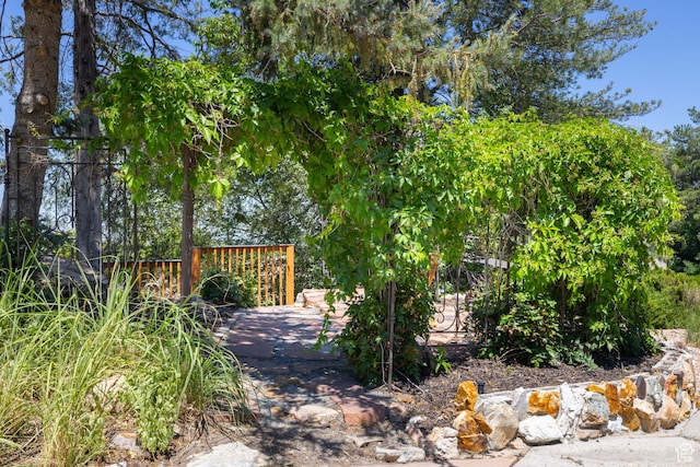 4774 S Oak Terrace Dr, Millcreek, UT 84124 - view of yard