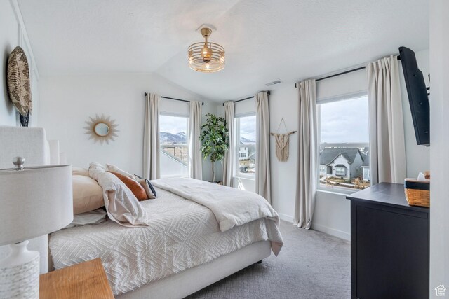 6439 W S Jordan Pkwy, South Jordan, UT 84009 - bedroom with light colored carpet, lofted ceiling, and baseboards