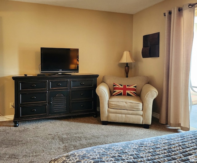 1845 W Canyon View Dr Unit 123, St George, UT 84770 - photo 9