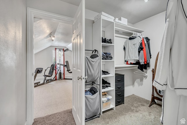 1162 E 1180 N, American Fork, UT 84003 - spacious closet with carpet flooring and lofted ceiling