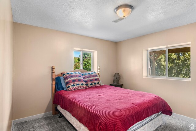 1235 Lakeview Dr, Garden City, UT 84028 - carpeted bedroom with baseboards and a textured ceiling