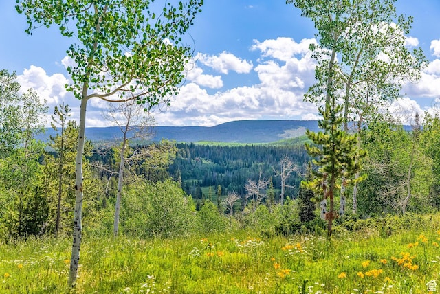 2989 Uinta Dr, Kamas, UT 84036