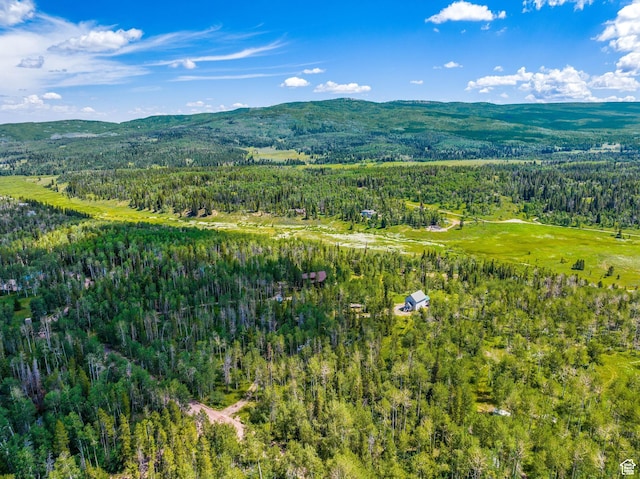 2989 Uinta Dr, Kamas, UT 84036