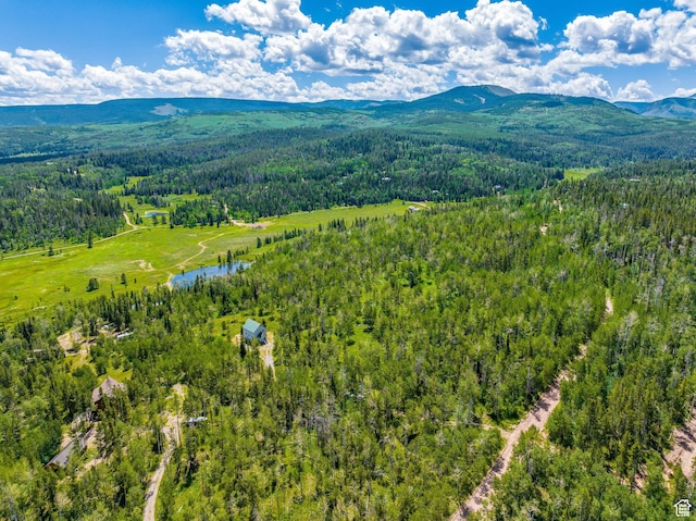 2989 Uinta Dr, Kamas, UT 84036