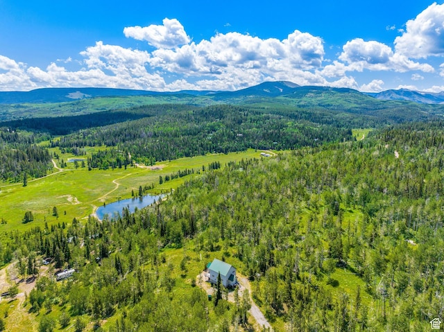 2989 Uinta Dr, Kamas, UT 84036